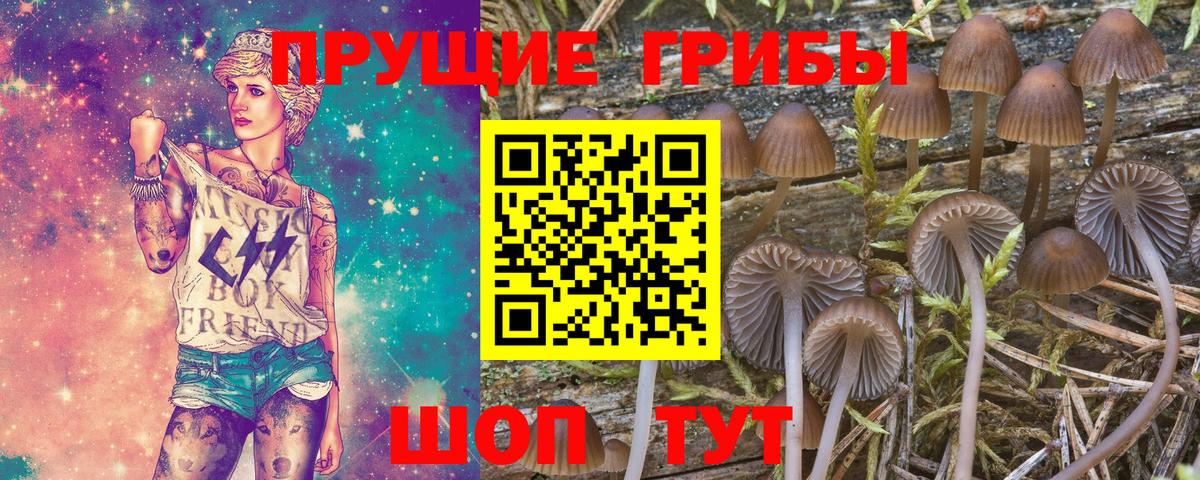 Галлюциногенные грибы мухоморы  Вход с VPN  Псилоцибиновые грибы Psilocybine cubensis  Озёрск 