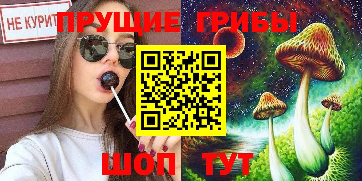 Псилоцибиновые грибы GOLDEN TEACHER Озёрск